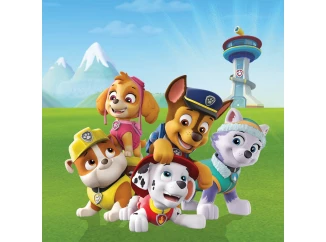 Dětský obraz Paw Patrol věž, 35x35 cm